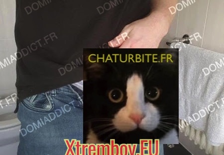 Soumis à ma grosse bite