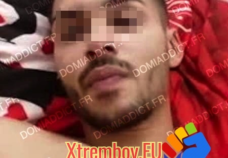 Bonne chienne virile