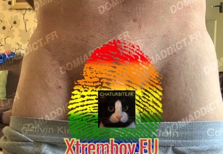 Tige lisse et endurant cherche