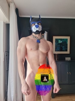 Come play with me ! #french #puppy #feet #underwear