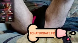 moi16300 Lovense Lush on - Interactive Toy that vibrates with your Tips - My first Goal #lovense #french